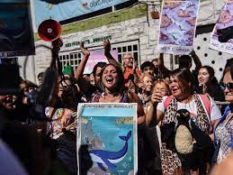Ambientalistas celebran rechazo a mina en Chile