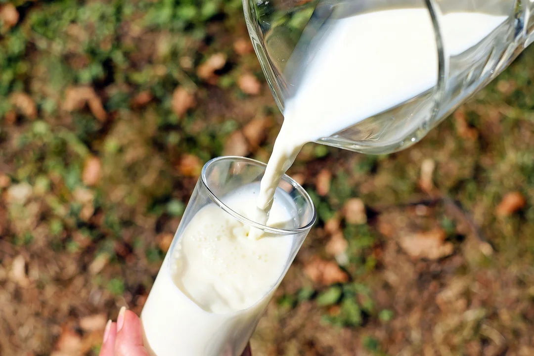 La caída del consumo y de los precios internacionales afectó el precio de la leche cruda