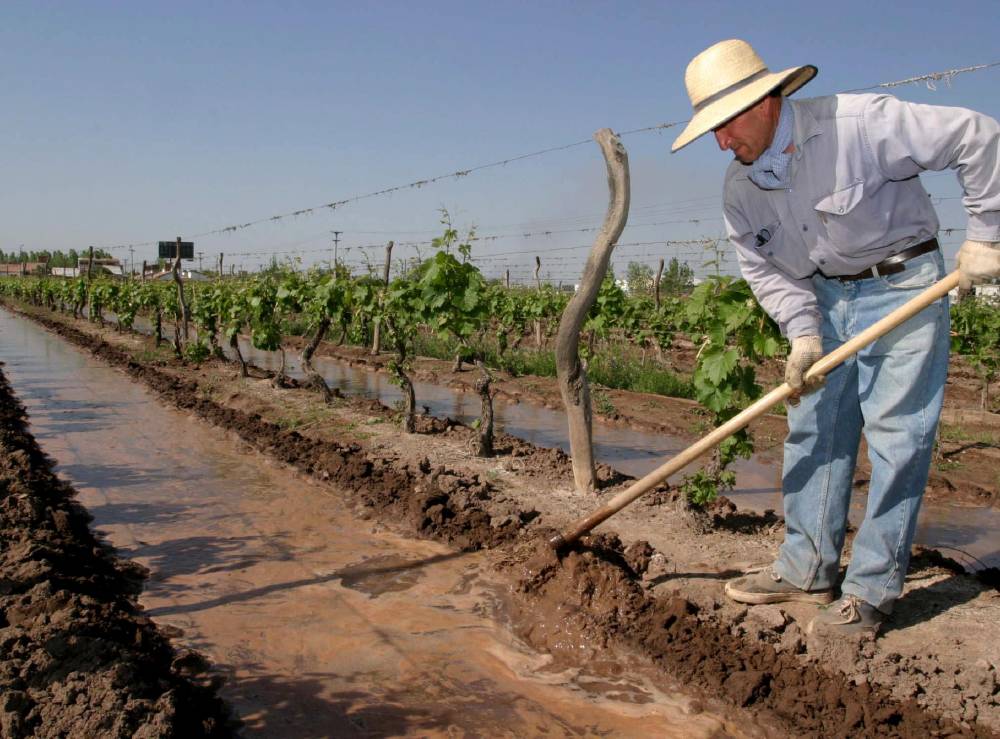 Mendoza: Producción anticipará pagos del Seguro y Fondo Compensador Agrícola