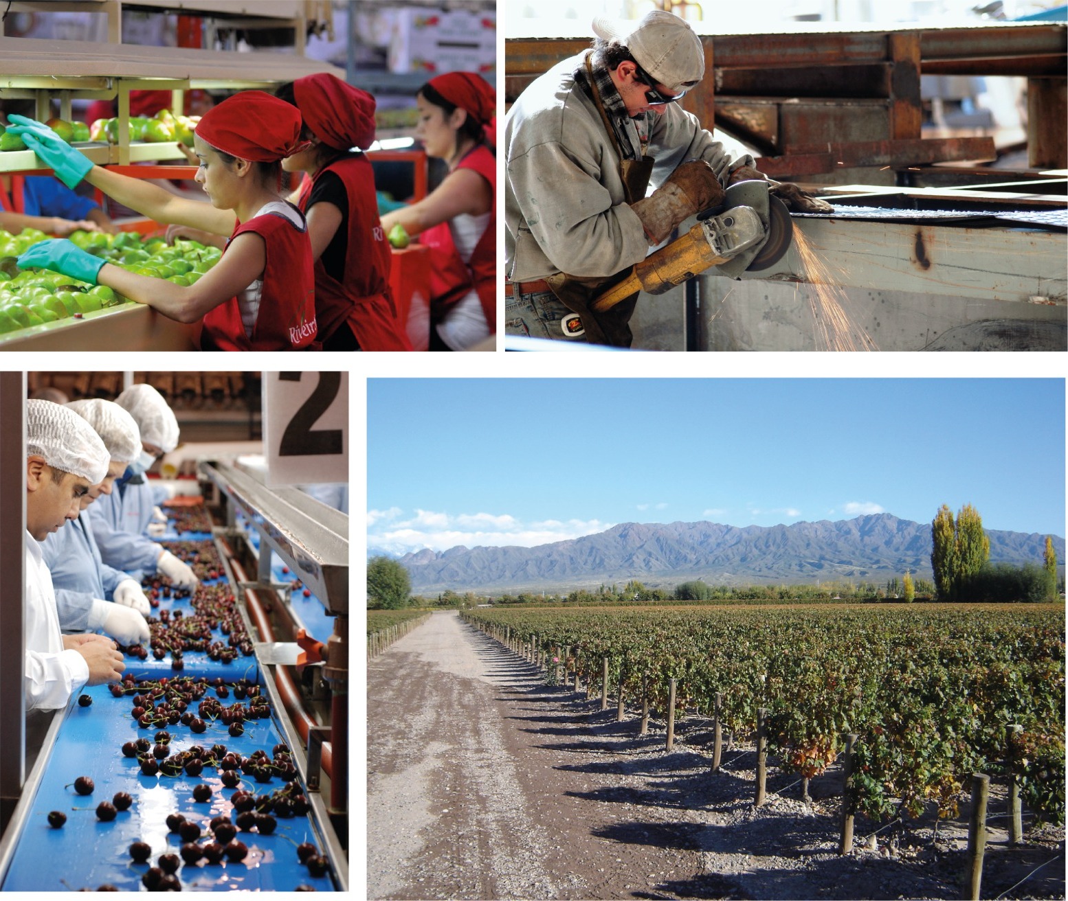 Se realizará un Foro Agroindustrial Pyme en Mendoza