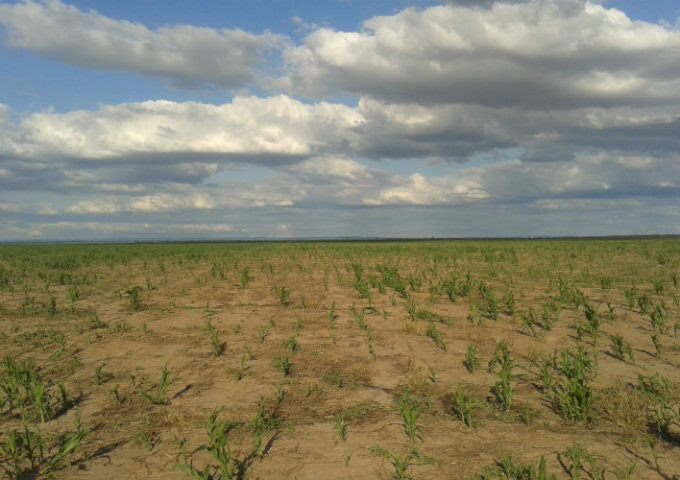 La sequía impacta en los productores, las comunidades y el país